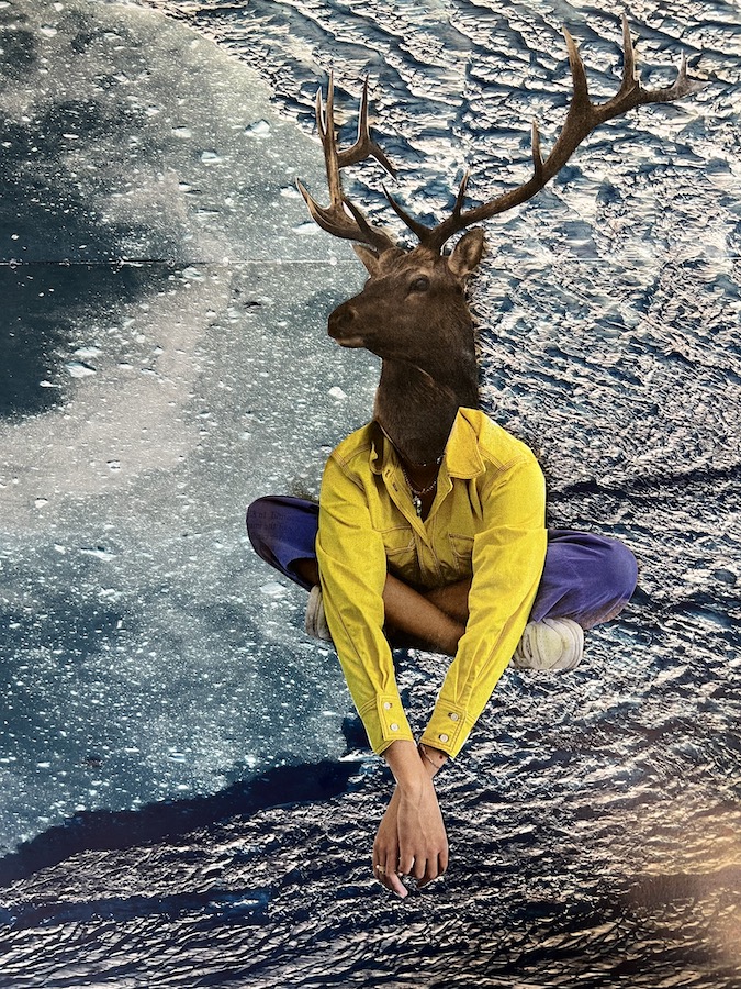 The Buck Stops Here